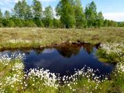 Les levresses - Frasne